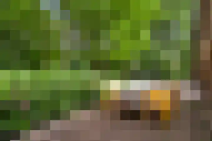 Henri Jonaslaan 4 Herkenbosch thumbnail 41