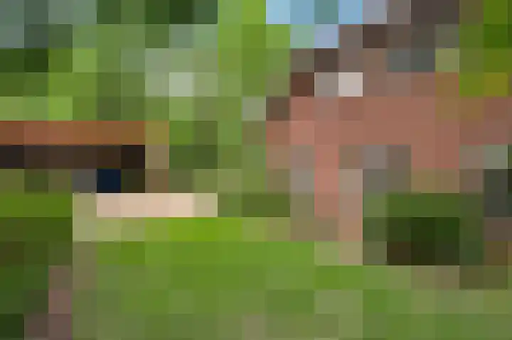 Henri Jonaslaan 4 Herkenbosch thumbnail 42