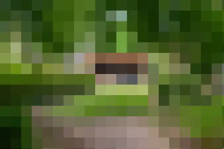 Henri Jonaslaan 4 Herkenbosch thumbnail 43