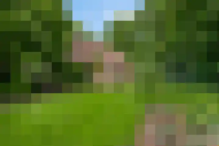 Henri Jonaslaan 4 Herkenbosch thumbnail 45