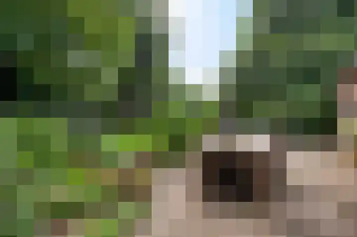 Henri Jonaslaan 4 Herkenbosch thumbnail 47