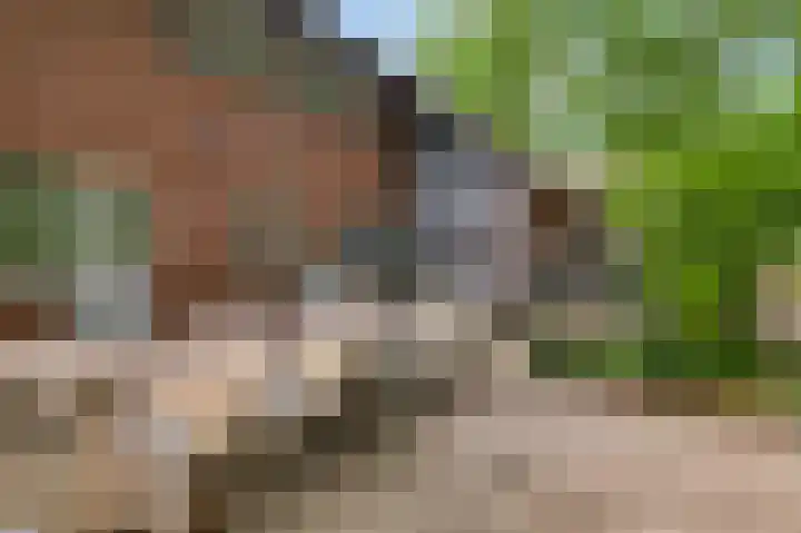 Henri Jonaslaan 4 Herkenbosch thumbnail 49