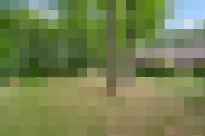 Henri Jonaslaan 4 Herkenbosch thumbnail 5