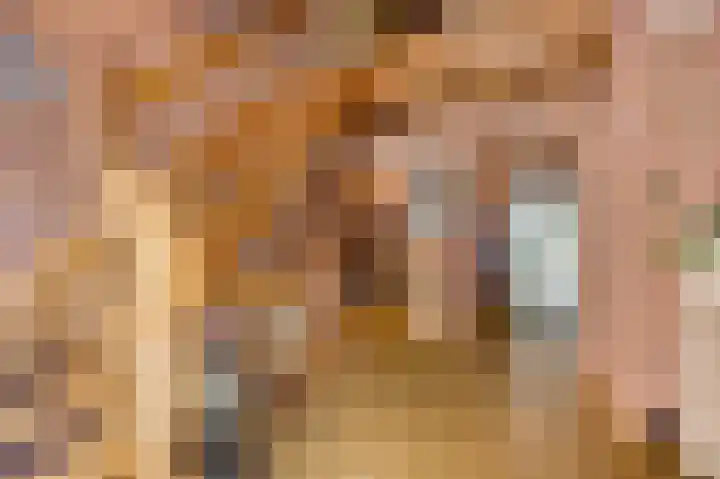 Henri Jonaslaan 4 Herkenbosch thumbnail 6