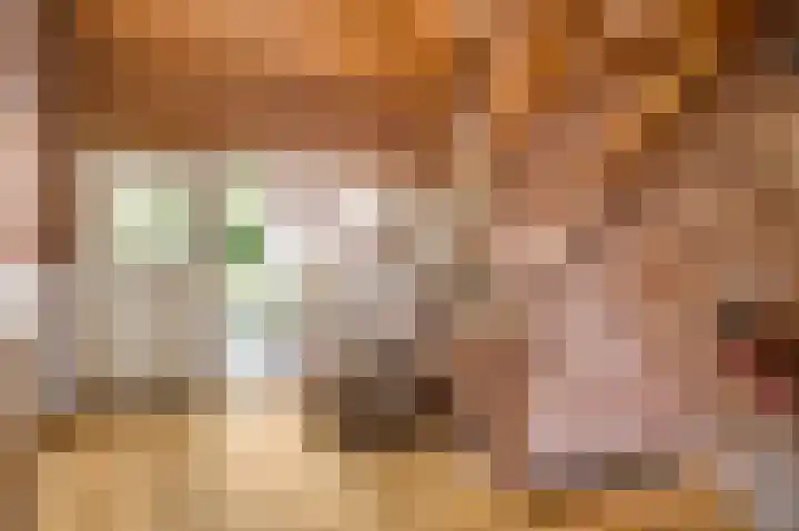 Henri Jonaslaan 4 Herkenbosch thumbnail 7