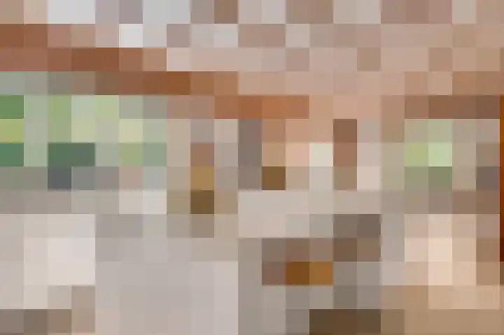 Henri Jonaslaan 4 Herkenbosch thumbnail 8