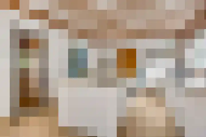 Henri Jonaslaan 4 Herkenbosch thumbnail 9