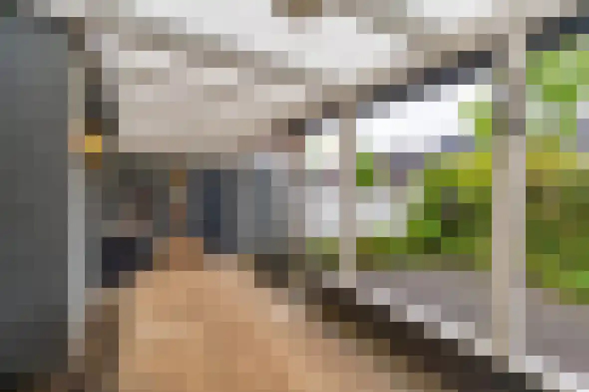 Henri Jonasstraat 36 Sittard thumbnail 20