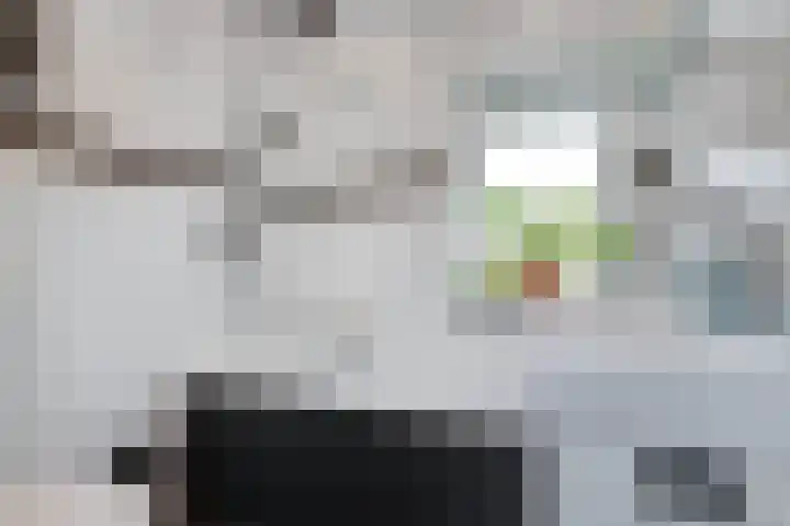 Henri Jonasstraat 7 Sittard thumbnail 17