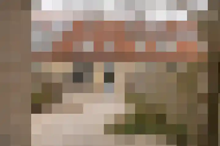 Henri Knapstraat 54 Gorinchem thumbnail 4