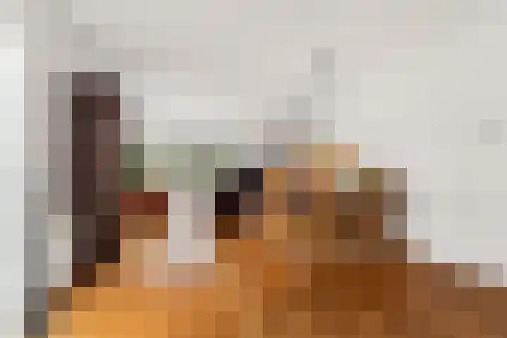 Henri Lafontainehof 5 Arnhem thumbnail 11