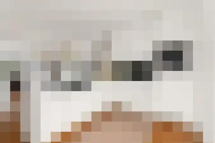 Henri Lafontainehof 5 Arnhem thumbnail 19