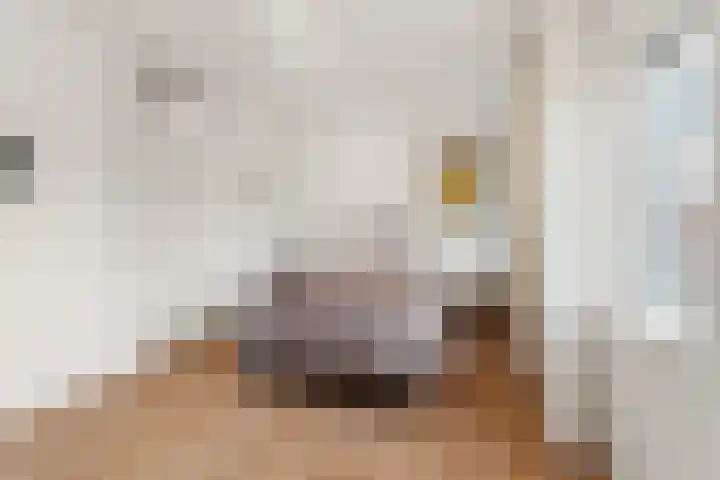 Henri Lafontainehof 5 Arnhem thumbnail 21
