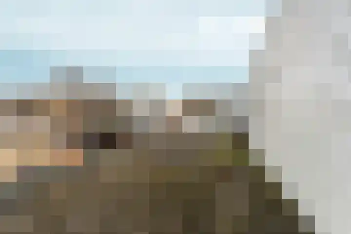 Henri Lafontainehof 5 Arnhem thumbnail 29