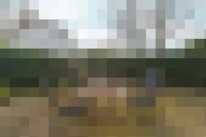 Henri Lafontainehof 5 Arnhem thumbnail 33