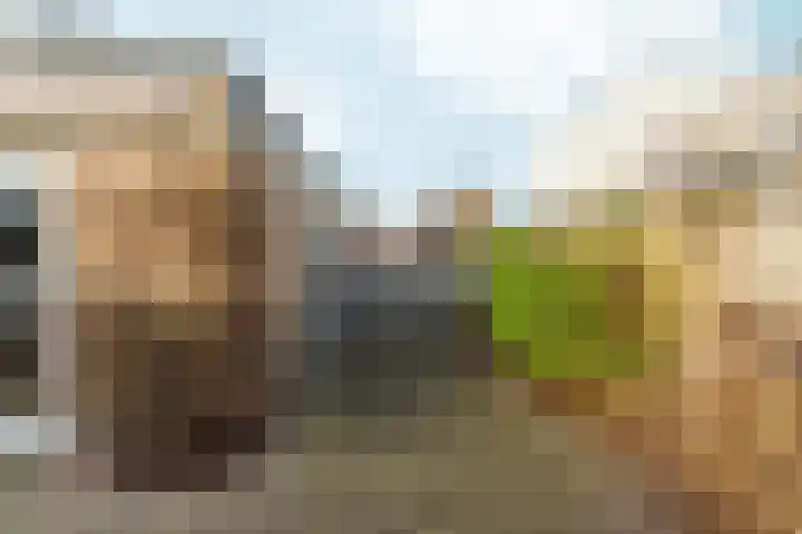 Henri Lafontainehof 5 Arnhem thumbnail 35