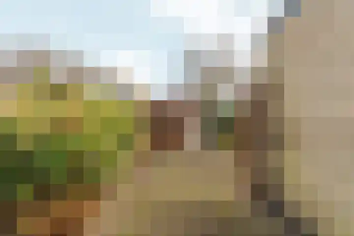 Henri Lafontainehof 5 Arnhem thumbnail 36