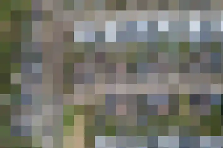 Henri Lafontainehof 5 Arnhem thumbnail 39