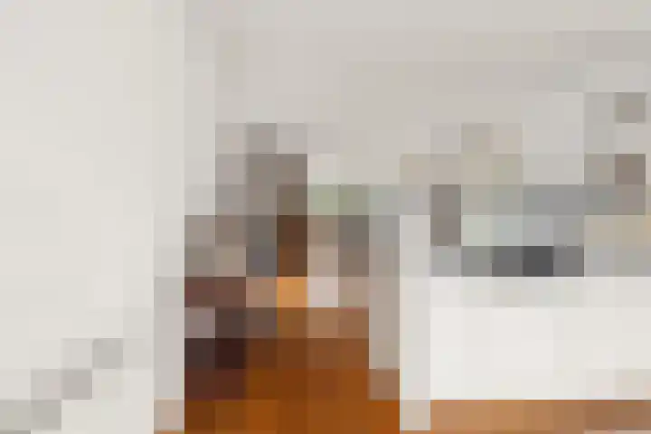 Henri Lafontainehof 5 Arnhem thumbnail 5