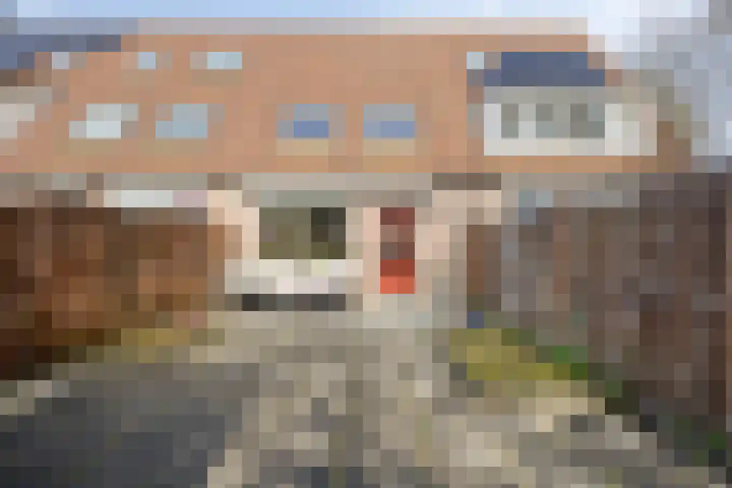 Henri Laurensrade 50 Capelle aan den IJssel thumbnail 11