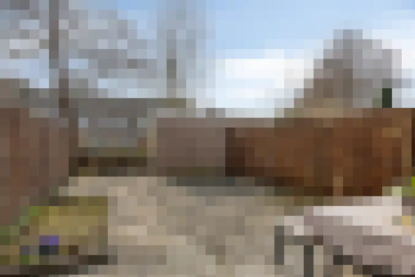 Henri Laurensrade 50 Capelle aan den IJssel thumbnail 14