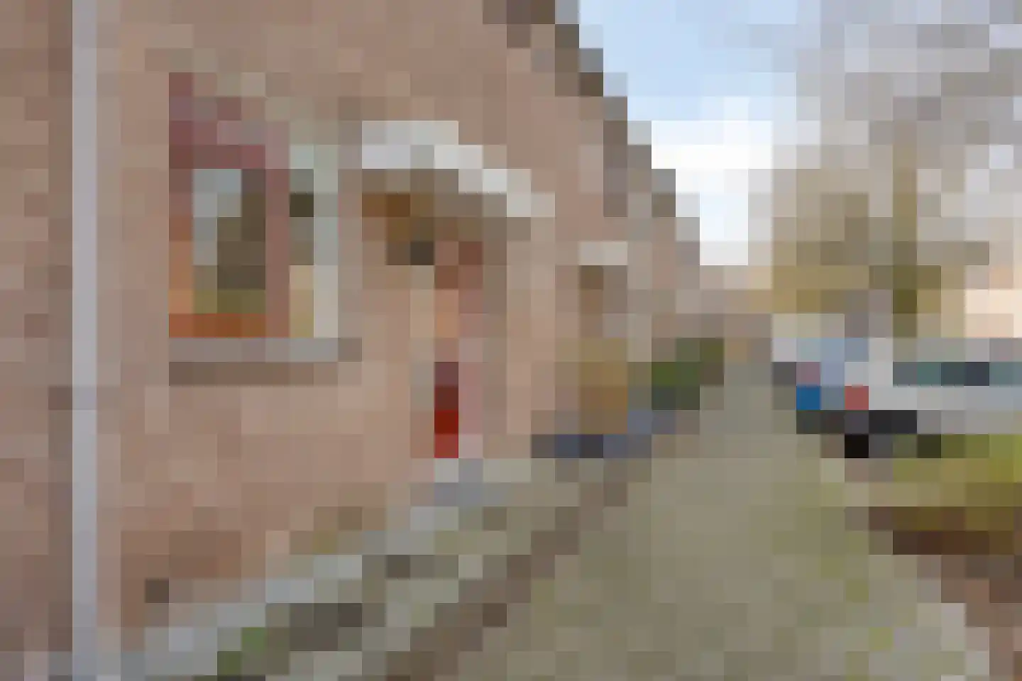 Henri Laurensrade 50 Capelle aan den IJssel thumbnail 33