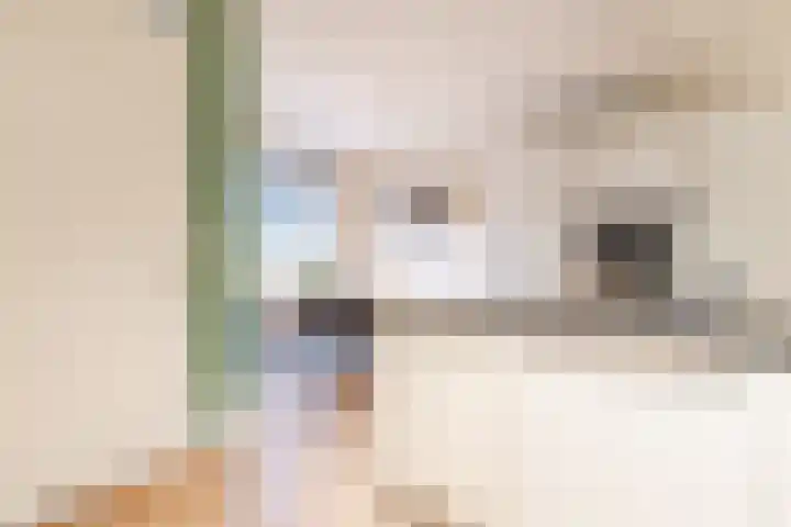Henri Matissehof 21 Utrecht thumbnail 10