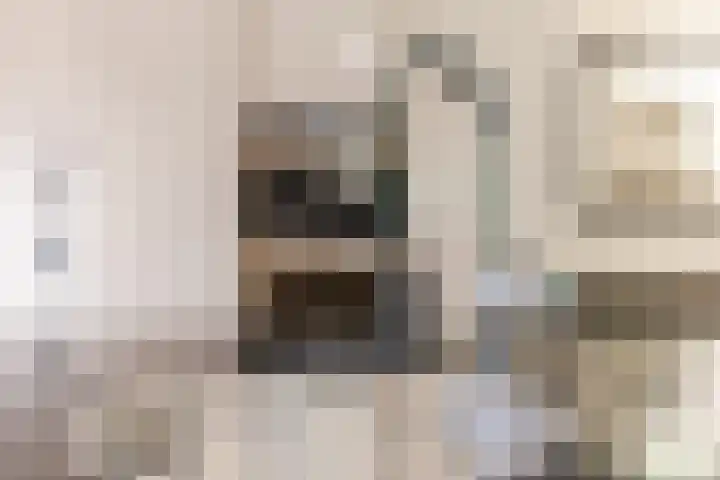 Henri Matissehof 21 Utrecht thumbnail 11