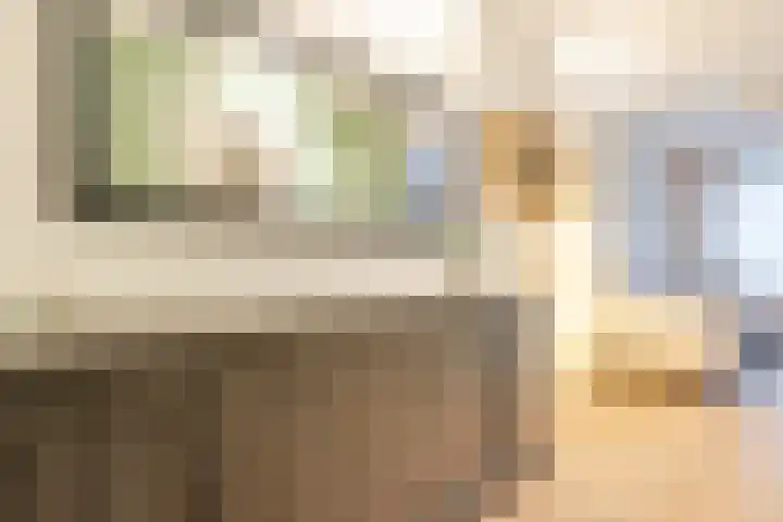 Henri Matissehof 21 Utrecht thumbnail 18