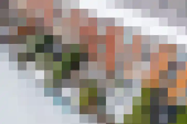 Henri Matissehof 21 Utrecht thumbnail 22