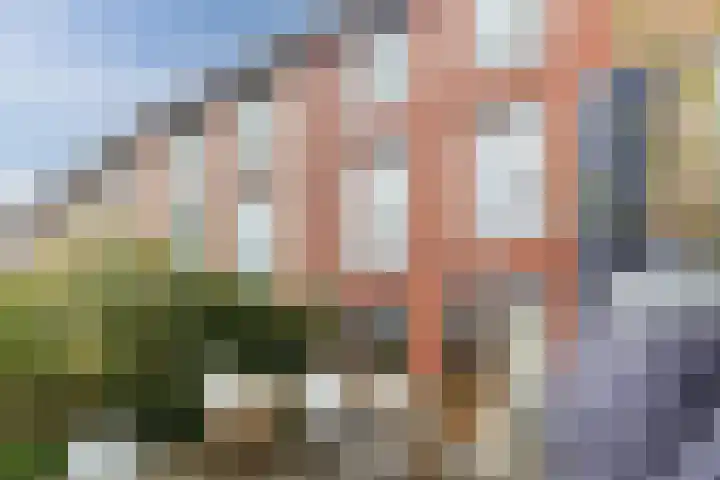 Henri Matissehof 21 Utrecht thumbnail 27
