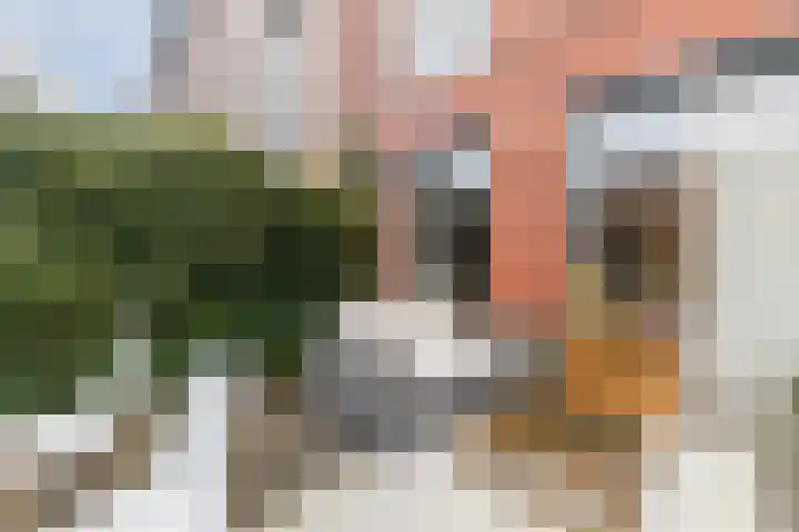 Henri Matissehof 21 Utrecht thumbnail 28