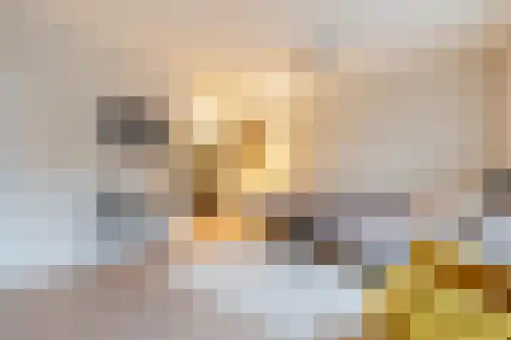 Henri Matissehof 21 Utrecht thumbnail 30