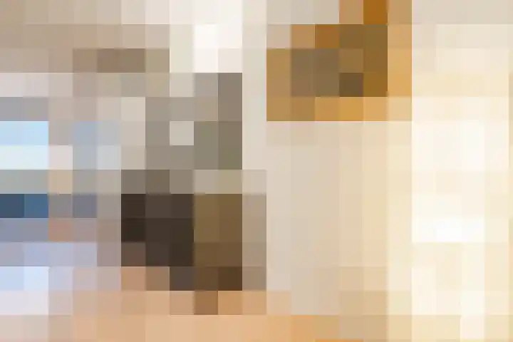 Henri Matissehof 21 Utrecht thumbnail 32
