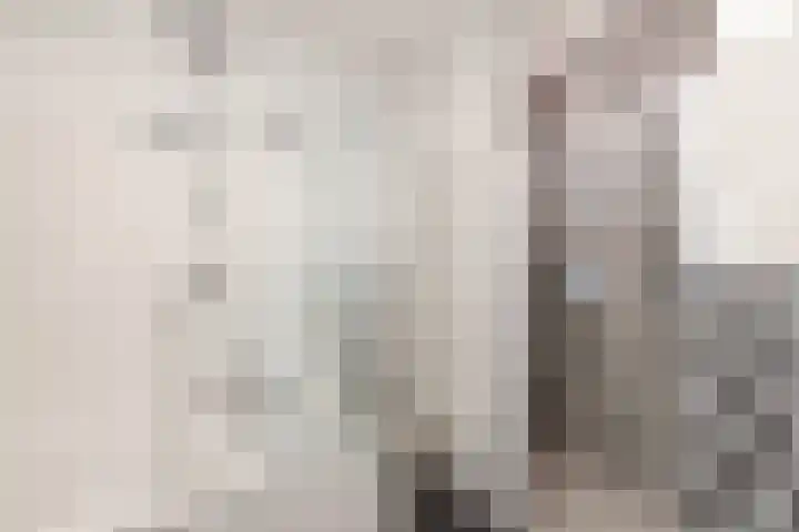 Henri Matissehof 21 Utrecht thumbnail 41