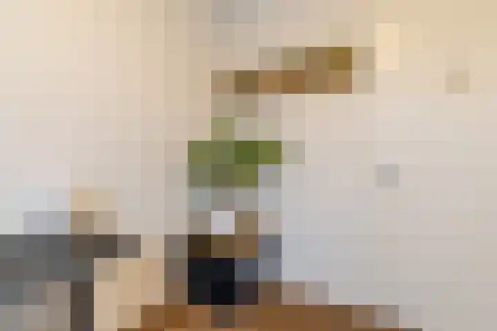 Henri Matissehof 21 Utrecht thumbnail 49