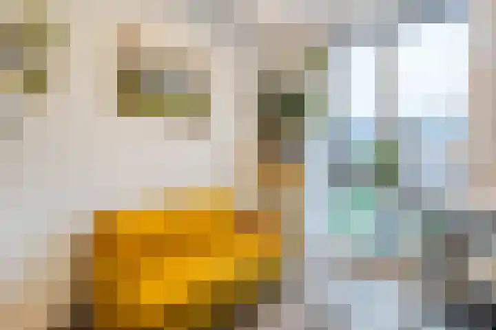 Henri Matissehof 21 Utrecht thumbnail 50