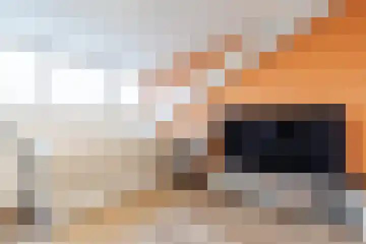 Henri Matissehof 21 Utrecht thumbnail 65