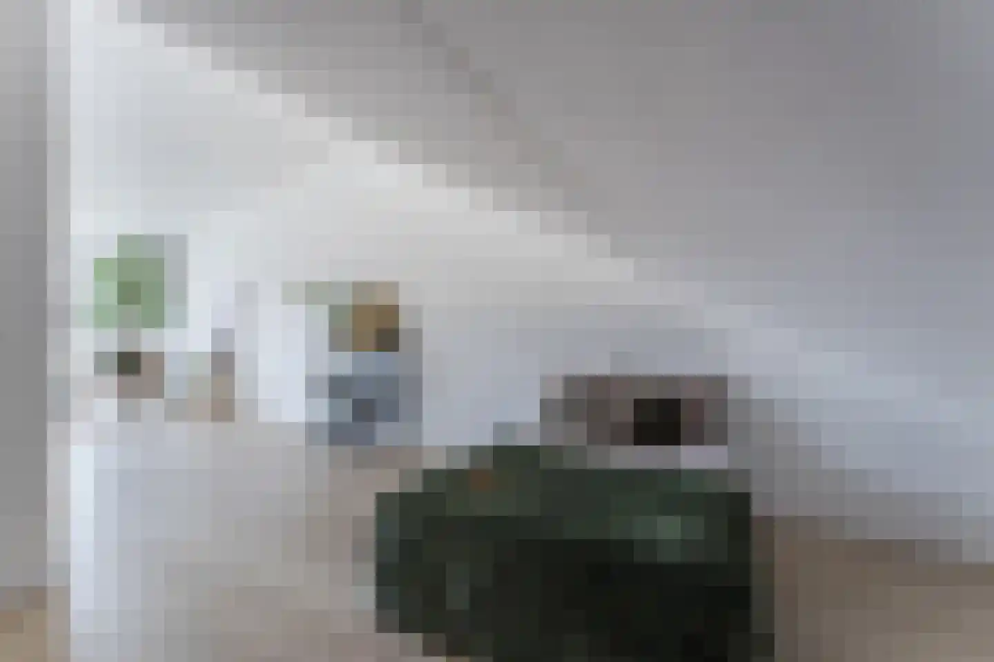 Henri Matissehof 26 Utrecht thumbnail 45