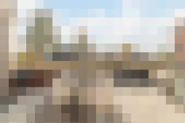 Henri Matissehof 29 Utrecht thumbnail 14