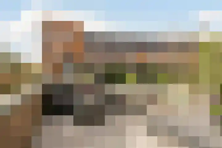 Henri Matissehof 29 Utrecht thumbnail 15