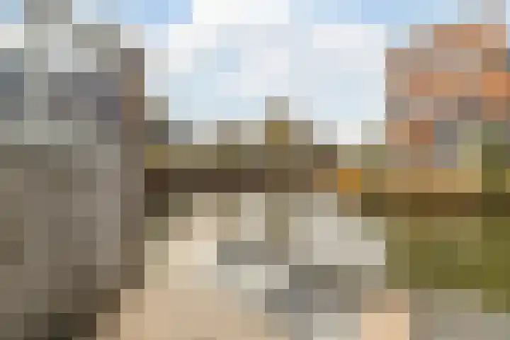 Henri Matissehof 29 Utrecht thumbnail 21