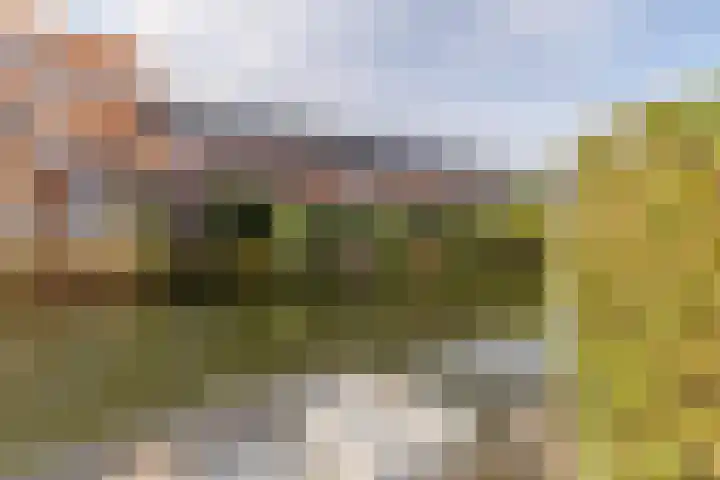 Henri Matissehof 29 Utrecht thumbnail 22