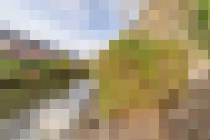 Henri Matissehof 29 Utrecht thumbnail 23
