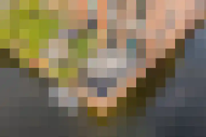 Henri Matissehof 29 Utrecht thumbnail 24