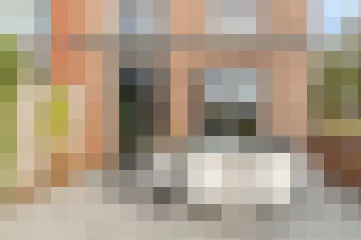 Henri Matissehof 29 Utrecht thumbnail 26
