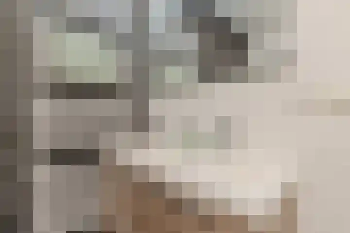 Henri Matissehof 29 Utrecht thumbnail 47