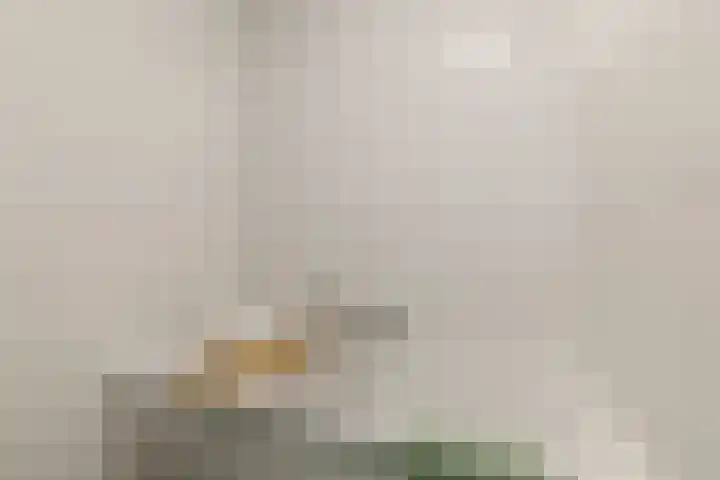 Henri Matissehof 29 Utrecht thumbnail 49