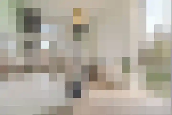 Henri Matissehof 29 Utrecht thumbnail 61