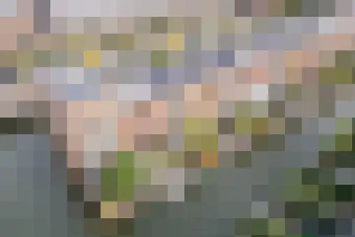 Henri Matissehof 3 Utrecht thumbnail 15